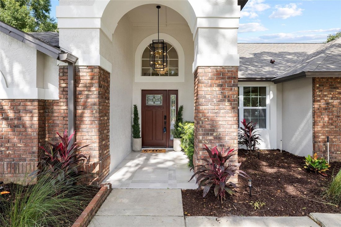 House in Lutz, Florida, United States 5 - 18697603