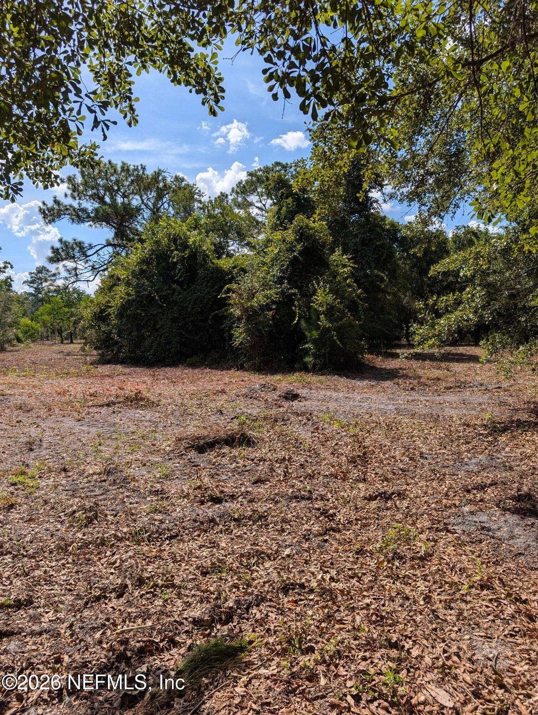 Fruit Cove, Florida, United States 2 - 18697002