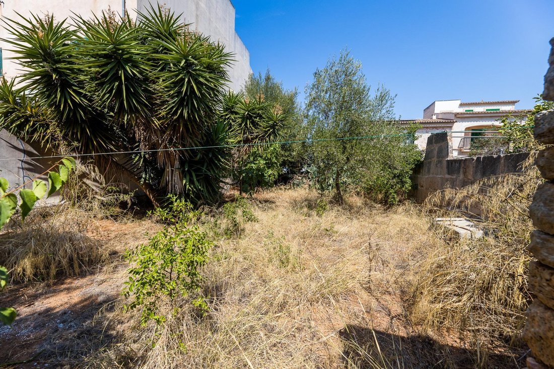 Maison à Santanyí, Îles Baléares, Espagne 2 - 18697543
