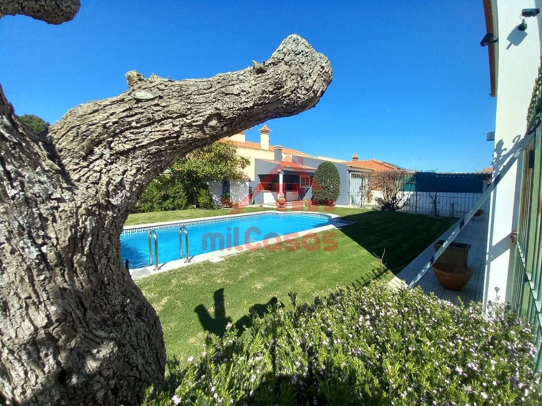House in Silveira, Lisbon, Portugal 4 - 18696149