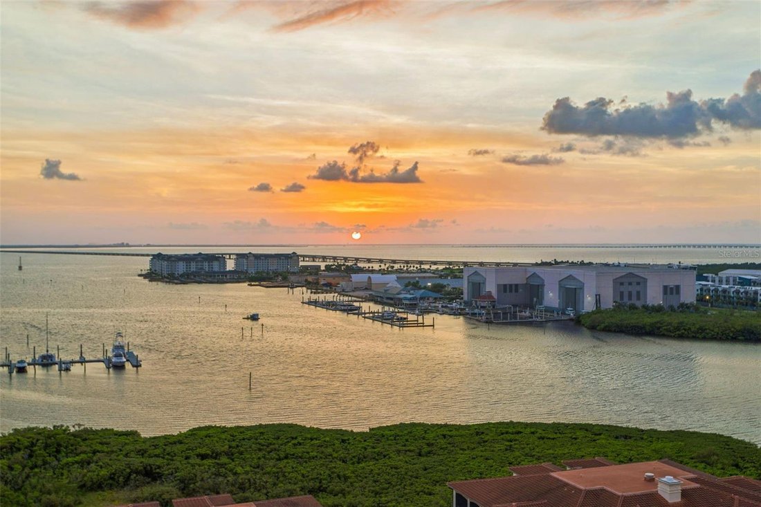 Condo in Tampa, Florida, United States 3 - 18697563