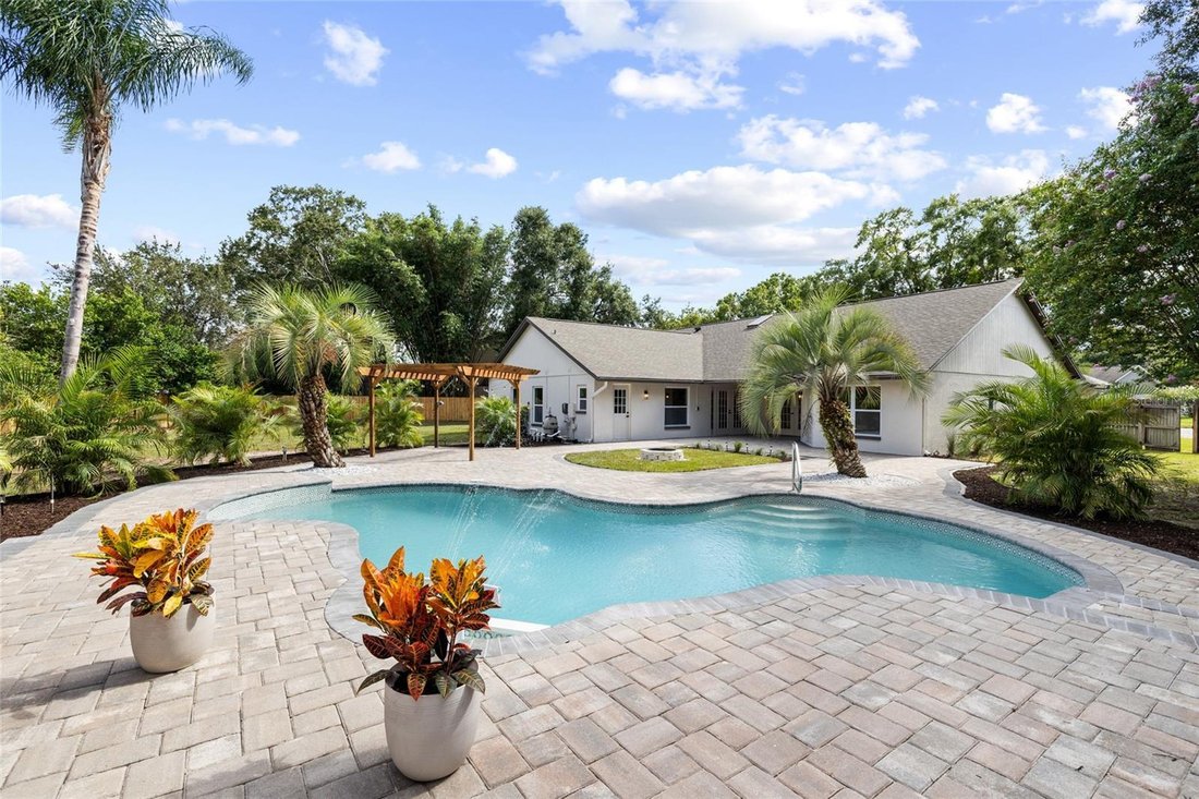 House in Lutz, Florida, United States 3 - 18697603