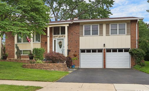 House in Elk Grove Village, Illinois, United States 1