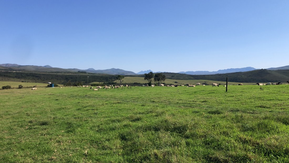 Farm Ranch in Mosel, Eastern Cape, South Africa 4 - 18696447