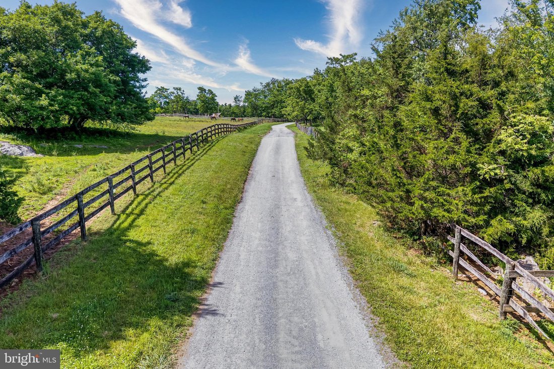 Land in Berryville, Virginia, United States 2 - 18658874