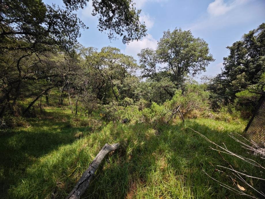 Land in Ciudad López Mateos, State of Mexico, Mexico 5 - 13622393