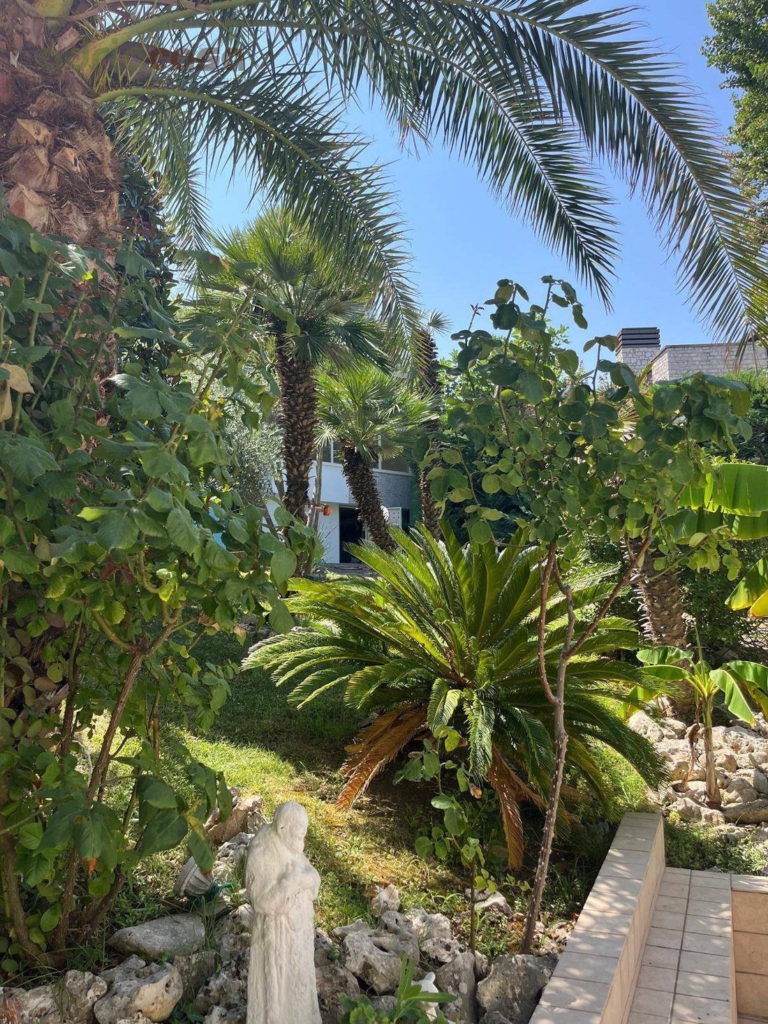 Apartment in Fontanelle-Colle dei Pini, Riccione, Emilia-Romagna 5 - 18699910