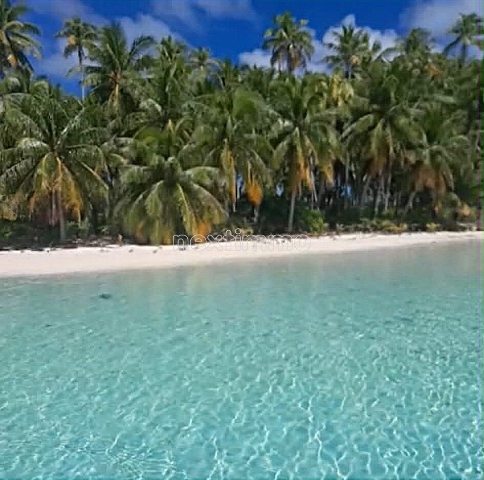 Land in Rangiroa, Französisch-Polynesien 5 - 14871221