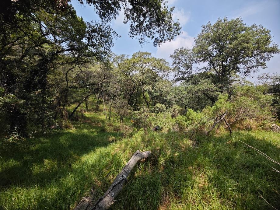Land in Ciudad López Mateos, State of Mexico, Mexico 4 - 13622393