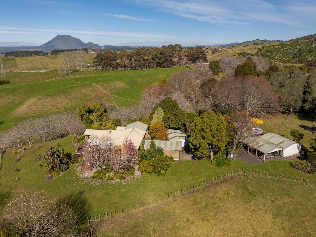 House in Rotoma, Bay of Plenty, New Zealand 4 - 18700174