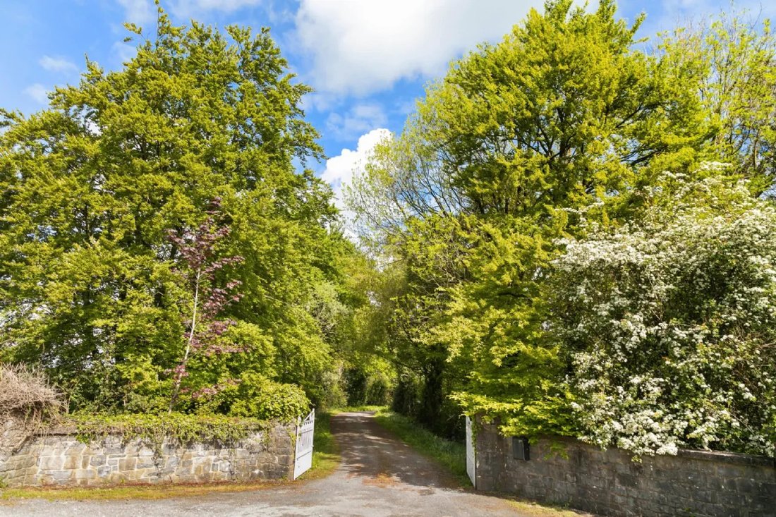 House in Mullinahone, County Tipperary, Ireland 5 - 18700293