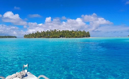 Land in Rangiroa, Französisch-Polynesien 1