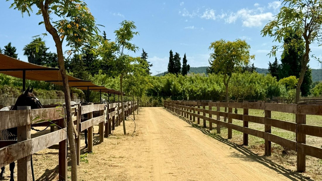 Land in San Martin del Tesorillo, Andalusia, Spain 5 - 18701213