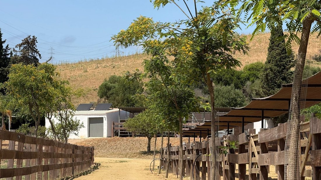 Land in San Martin del Tesorillo, Andalusia, Spain 3 - 18701213