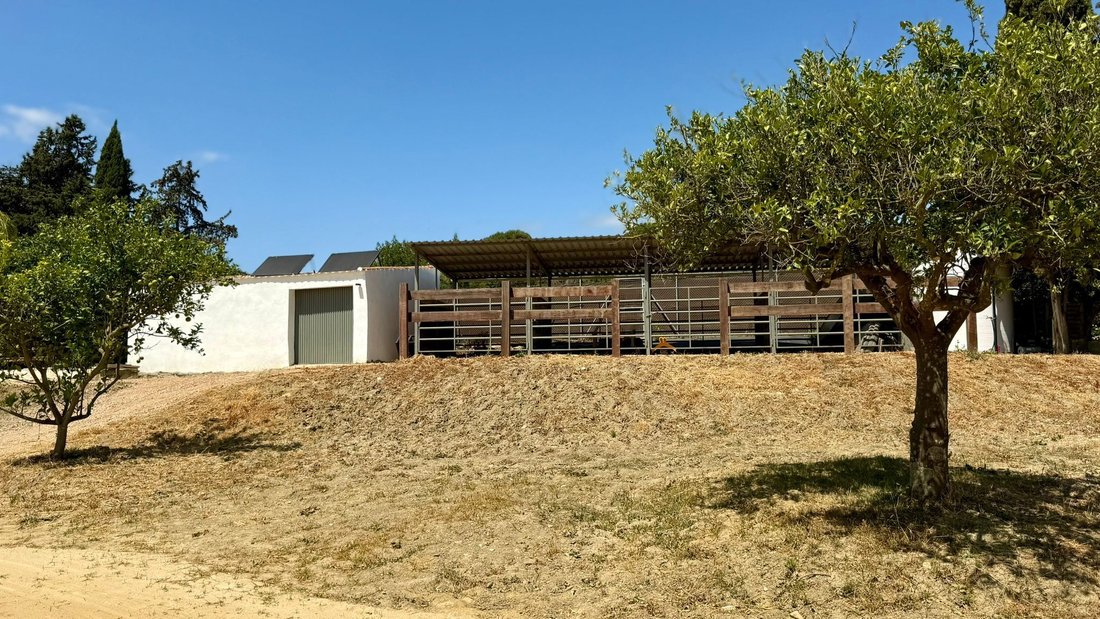 Land in San Martin del Tesorillo, Andalusia, Spain 4 - 18701213