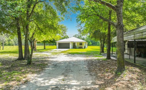 Casa en Eustis, Florida, Estados Unidos 1