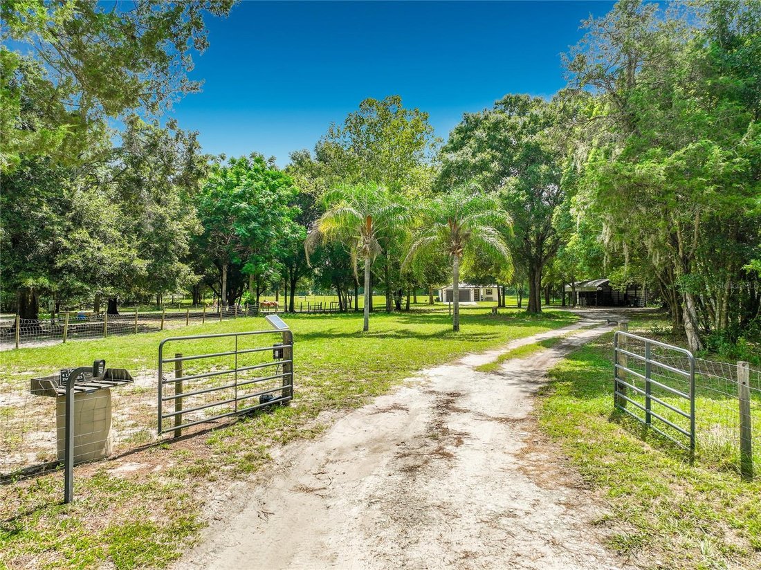 Haus in Eustis, Florida, Vereinigte Staaten 5 - 18700661