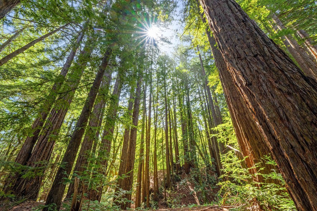 Terreno en Sonoma, California, Estados Unidos 4 - 18701433