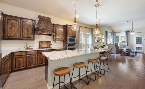 House in McKinney, Texas, United States 1