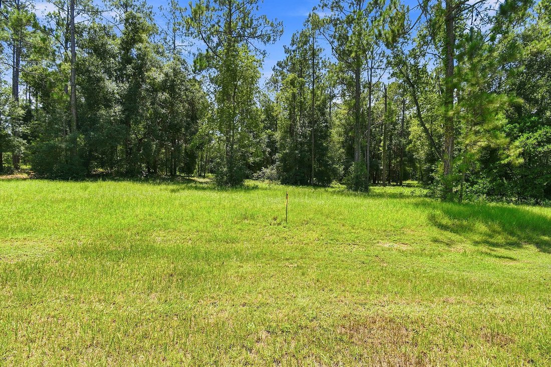 Land in Eustis, Florida, United States 1 - 18701445