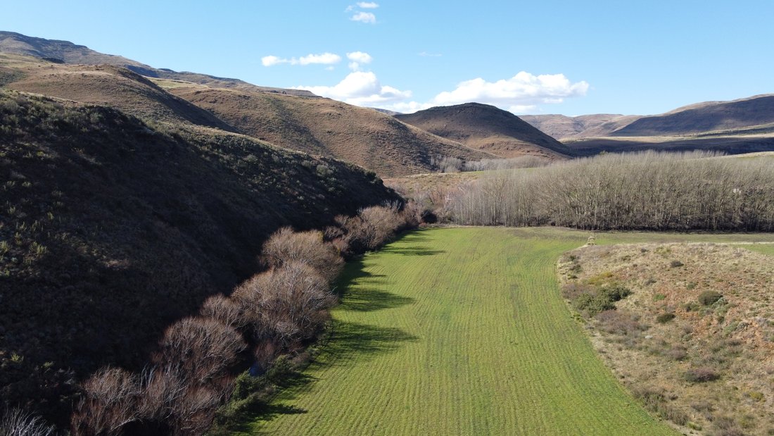Farm Ranch in Eastern Cape, South Africa 3 - 18702300