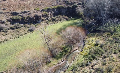 Farm Ranch in Eastern Cape, South Africa 1