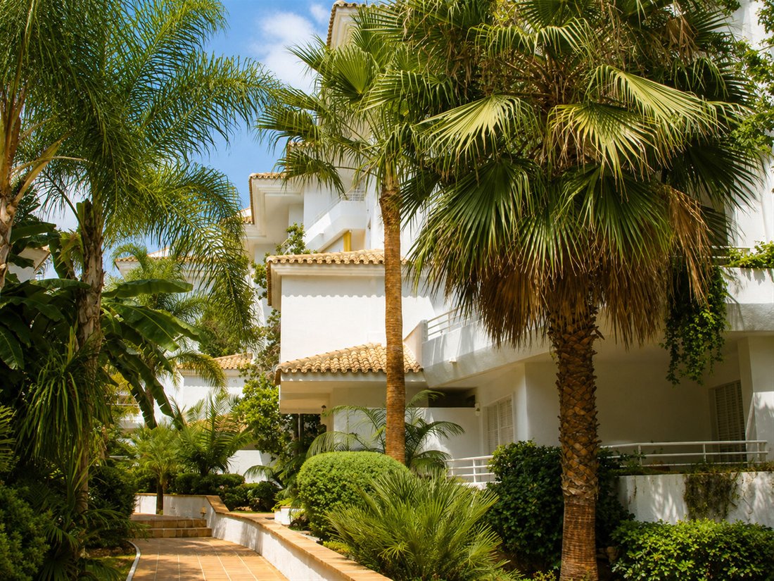 Penthouse in Guadalmina Baja, San Pedro de Alcantara, Spain 3 - 15143972
