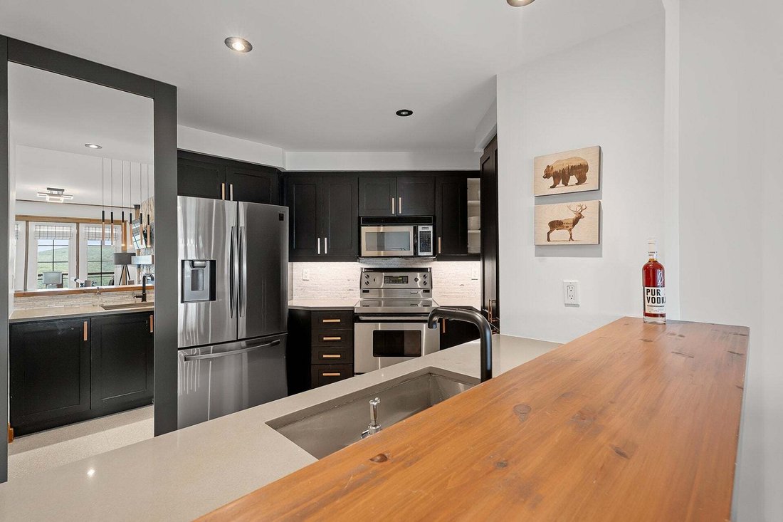 Condo in Mont-Tremblant, Quebec, Canada 4 - 18701737