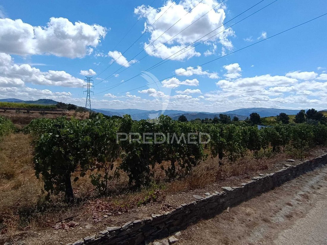 Land in Poiares e Canelas, Vila Real District, Portugal 2 - 18701899