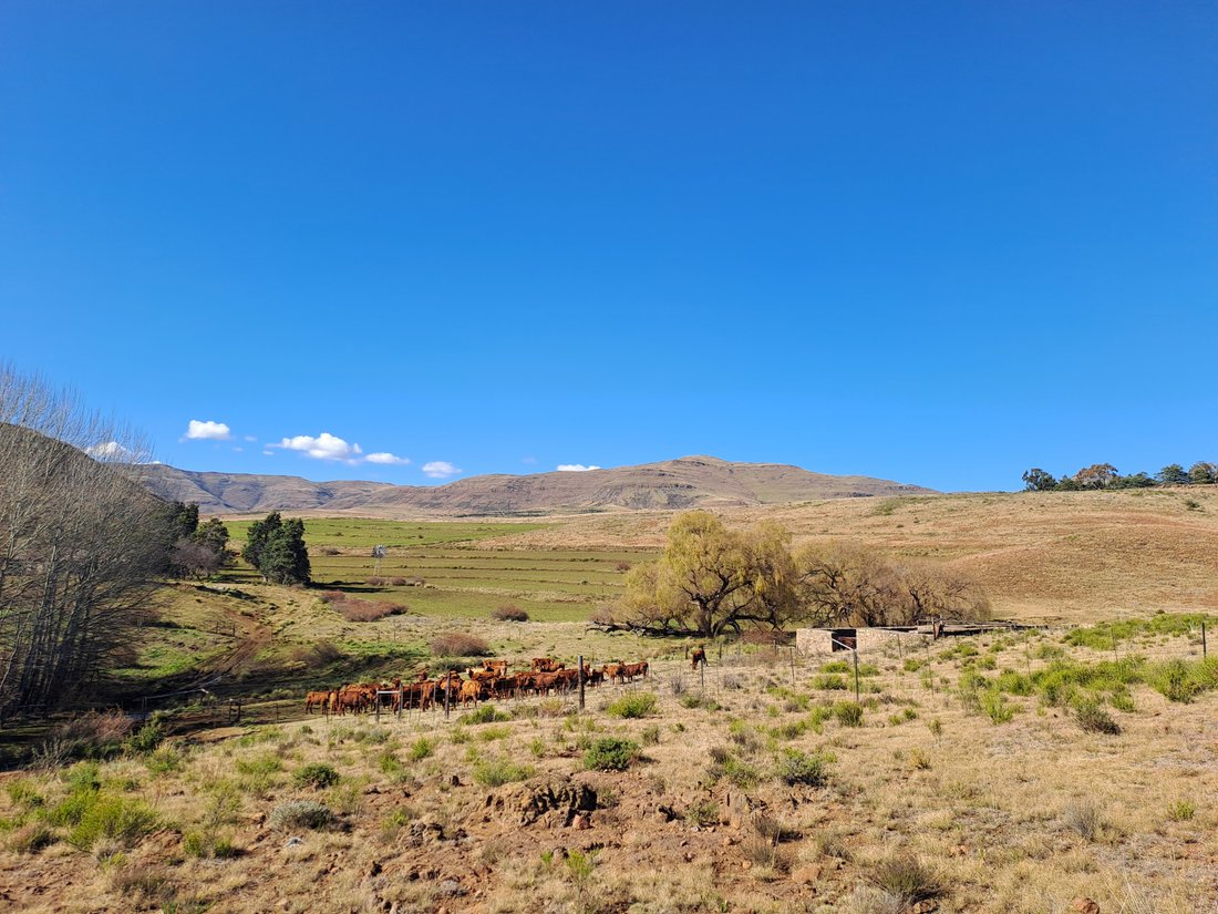 Farm Ranch in Eastern Cape, South Africa 5 - 18702300