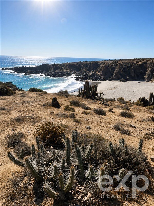 Andere in Canela, Coquimbo, Chile 1 - 18702167