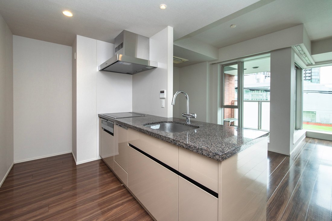 Condo in Minato City, Tokyo, Japan 4 - 18702114