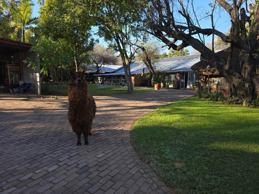 Farm Ranch in Bela-Bela, Limpopo, South Africa 1 - 18702290
