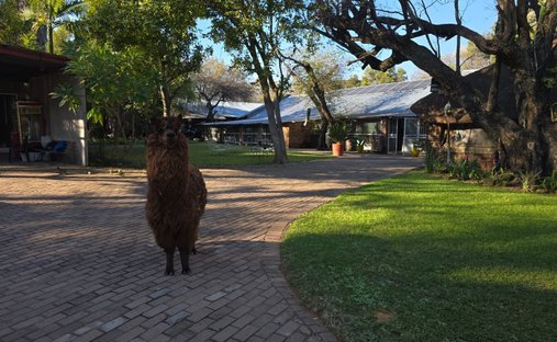 Corps de ferme en Bela-Bela, Limpopo, Afrique du Sud 1