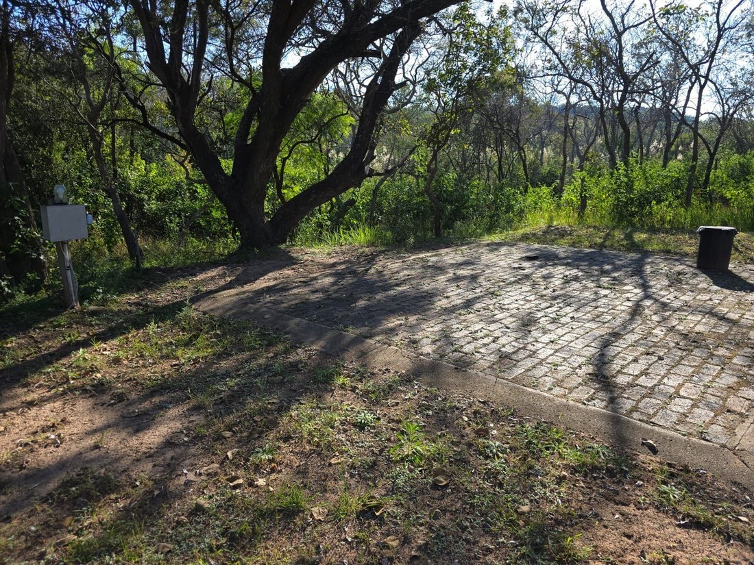 Farm Ranch in Bela-Bela, Limpopo, South Africa 4 - 18702290