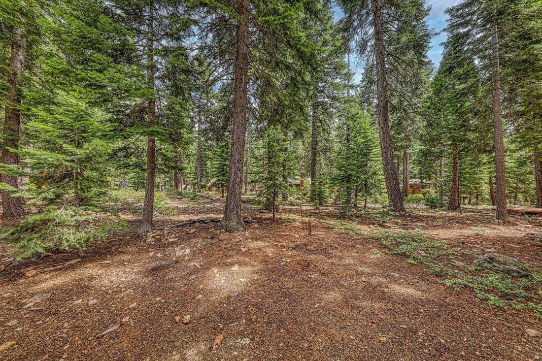 House in Carnelian Bay, California, United States 4 - 18701685