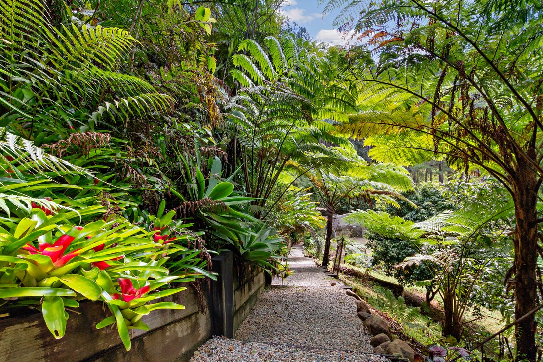 Farm Ranch in Dulguigan, New South Wales, Australia 3 - 18701992