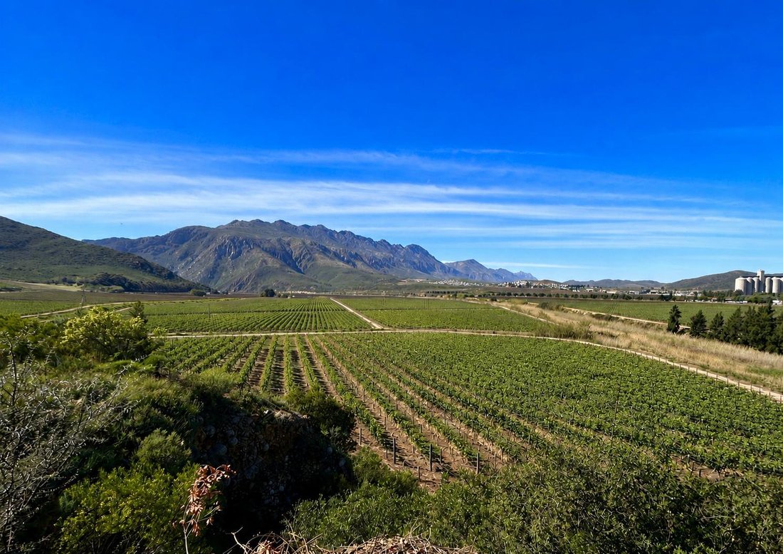Azienda agricola a Ashton, Provincia del Capo Occidentale, Sudafrica 1 - 15776340