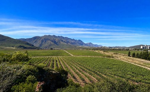 Farm Ranch in Ashton, Western Cape, South Africa 1