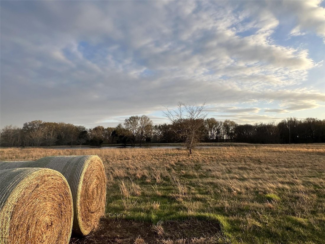 Land in Wills Point, Texas, United States 3 - 18701955