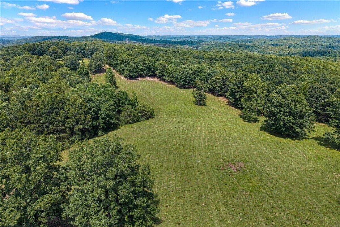 Terrain à Decatur, Tennessee, États-Unis 2 - 18702088