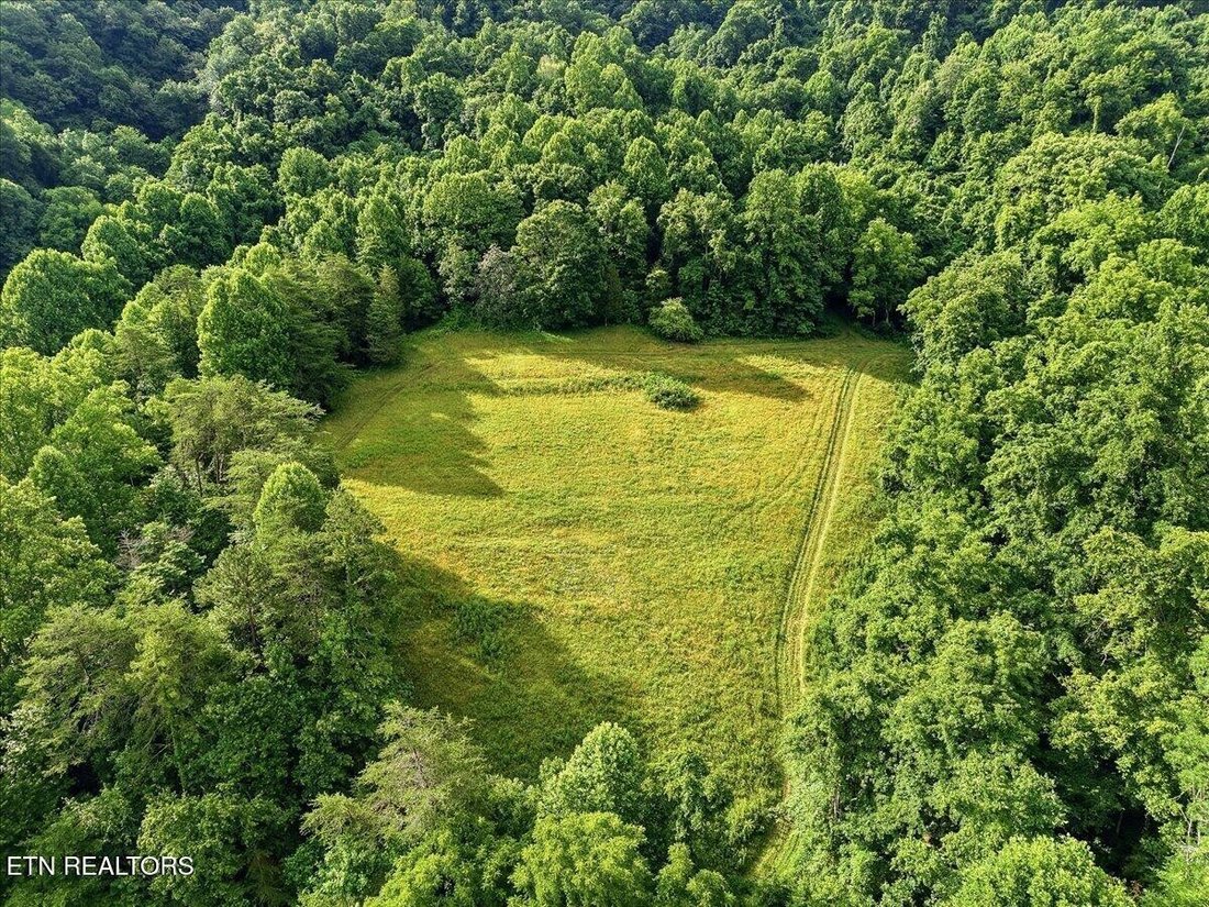 Eidson, Tennessee, United States 3 - 18702183