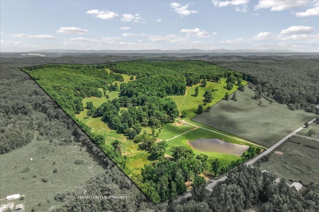 Terrain à Decatur, Tennessee, États-Unis 5 - 18702088