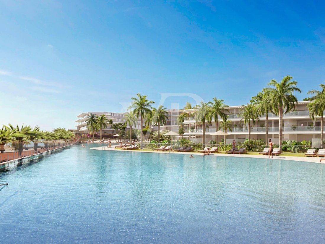 Apartamento en Guia de Isora, Canarias, España 4 - 18702324