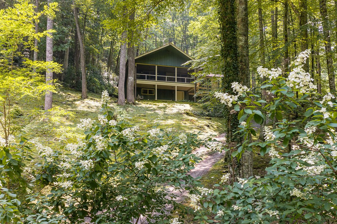 House in Canton, North Carolina, United States 3 - 18702425