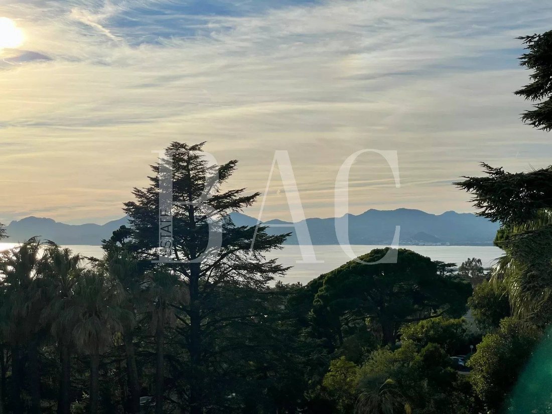 Apartment in Cannes, Provence-Alpes-Côte d'Azur, France 2 - 16735274