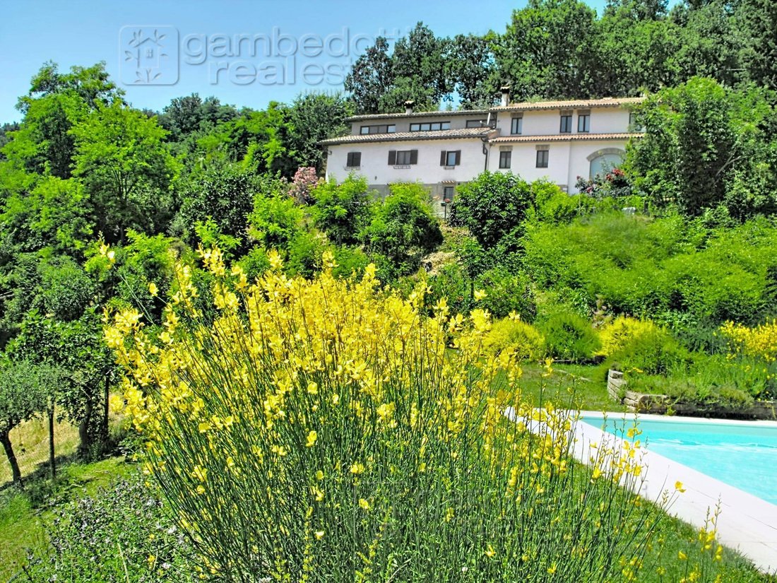 Villa in Gadana - Trasanni - Cavallino, Urbino, Marche 1 - 18707999