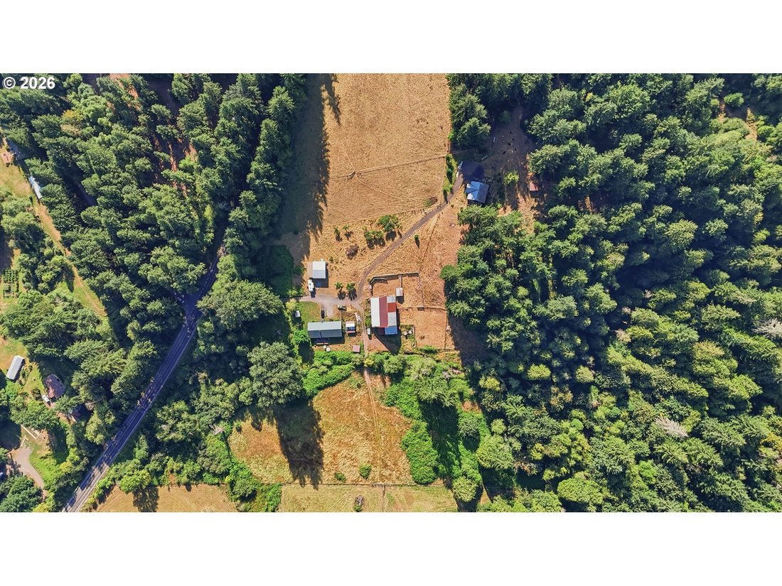 House in Amboy, Washington, United States 3 - 18708829