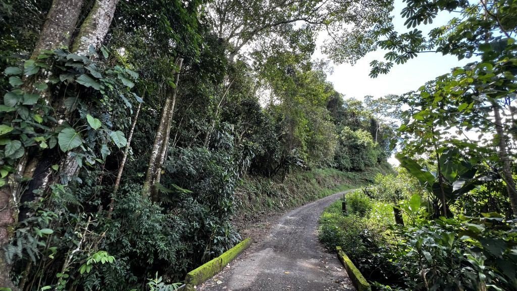 Land in Rivas, San José Province, Costa Rica 3 - 18709551
