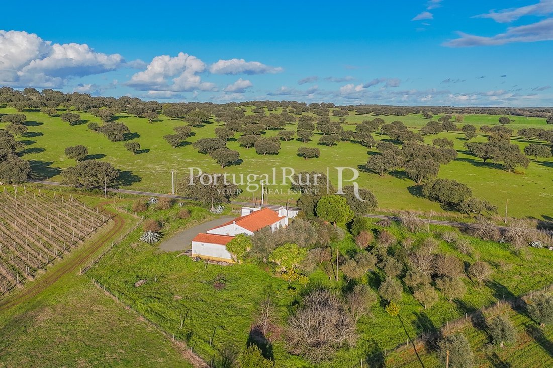 Finca in Avis, Portalegre District, Portugal 5 - 18707331
